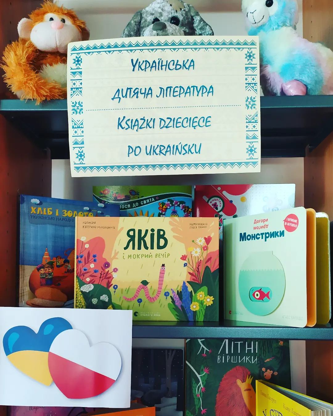 Projekt Podaruj książkę ukraińskim dzieciom 3